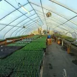 Hughey Farms photo