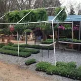 Hughey Farms photo