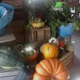 Wagner Farms Meridian photo
