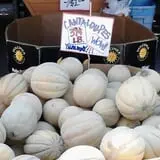 Wagner Farms Meridian photo