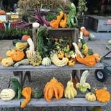 Wagner Farms Meridian photo