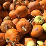 Wagner Farms Meridian photo