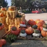 Wagner Farms Meridian photo