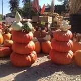 Wagner Farms Meridian photo