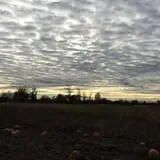 Wagner Farms Meridian photo