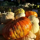 Wagner Farms Meridian photo