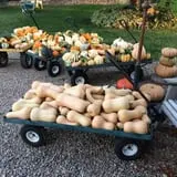 Wagner Farms Meridian photo