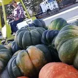 Wagner Farms Meridian photo