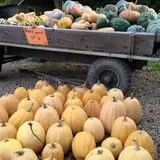 Wagner Farms Meridian photo