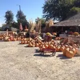 Wagner Farms Meridian photo