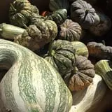 Wagner Farms Meridian photo