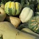 Wagner Farms Meridian photo