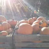 Wagner Farms Meridian photo