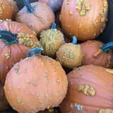 Wagner Farms Meridian photo