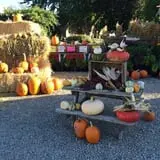 Wagner Farms Meridian photo