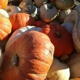 Wagner Farms Meridian photo