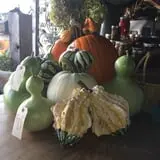 Wagner Farms Meridian photo