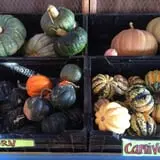Wagner Farms Meridian photo
