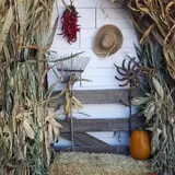 Wagner Farms Meridian photo