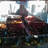 Wagner Farms Meridian photo