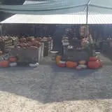 Wagner Farms Meridian photo