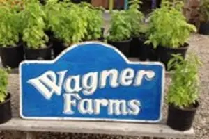 Wagner Farms Meridian