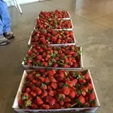 Buckeye Acres photo