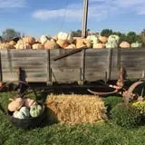 Buckeye Acres photo