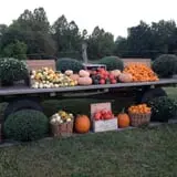 Buckeye Acres photo