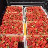 Buckeye Acres photo