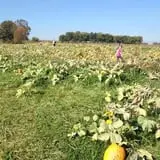Buckeye Acres photo