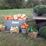 Buckeye Acres photo