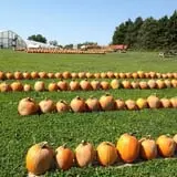 Buckeye Acres photo