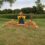 Buckeye Acres photo