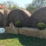 Buckeye Acres photo