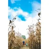 Buckeye Acres photo