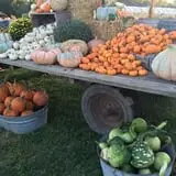 Buckeye Acres photo