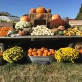 Buckeye Acres photo