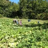Buckeye Acres photo