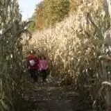Sam Mazza's Farm Market photo