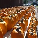 Sam Mazza's Farm Market photo