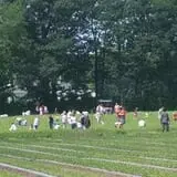 Sam Mazza's Farm Market photo