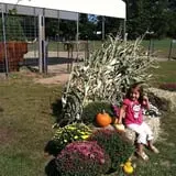 Sam Mazza's Farm Market photo