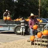 Sam Mazza's Farm Market photo
