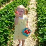 Sam Mazza's Farm Market photo