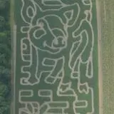 Sam Mazza's Farm Market photo