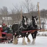 Sam Mazza's Farm Market photo