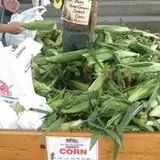 Sam Mazza's Farm Market photo