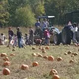 Sam Mazza's Farm Market photo
