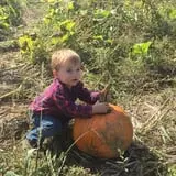 Sam Mazza's Farm Market photo